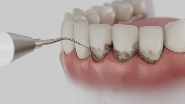 Reliable Dental contractor in Lebanon, OR by Dentist Open Now